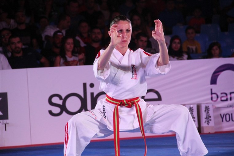 Martial Arts Festival